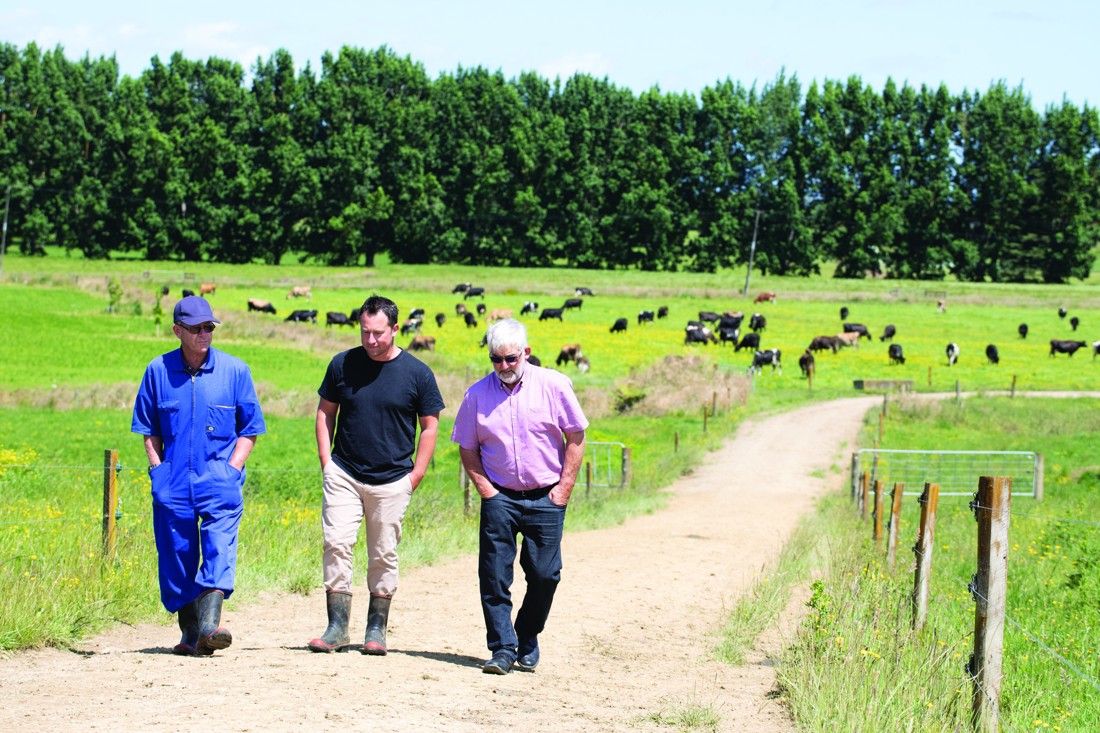 Three farmers walking in the field
