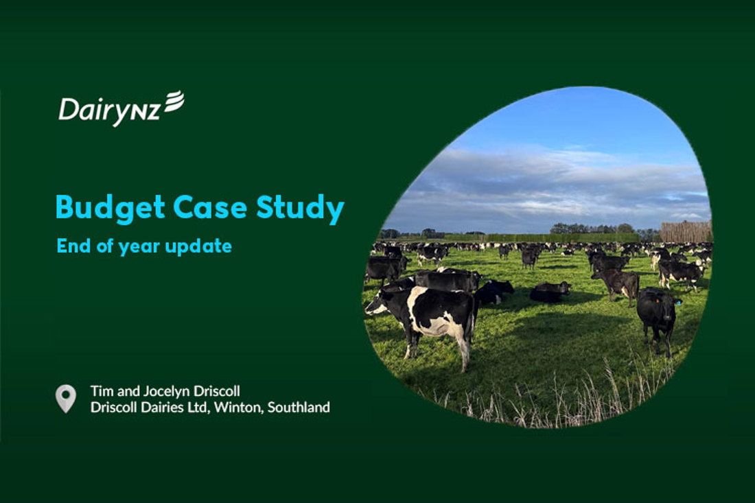 Budget Case Study Driscoll Dairies Video Placeholder Image