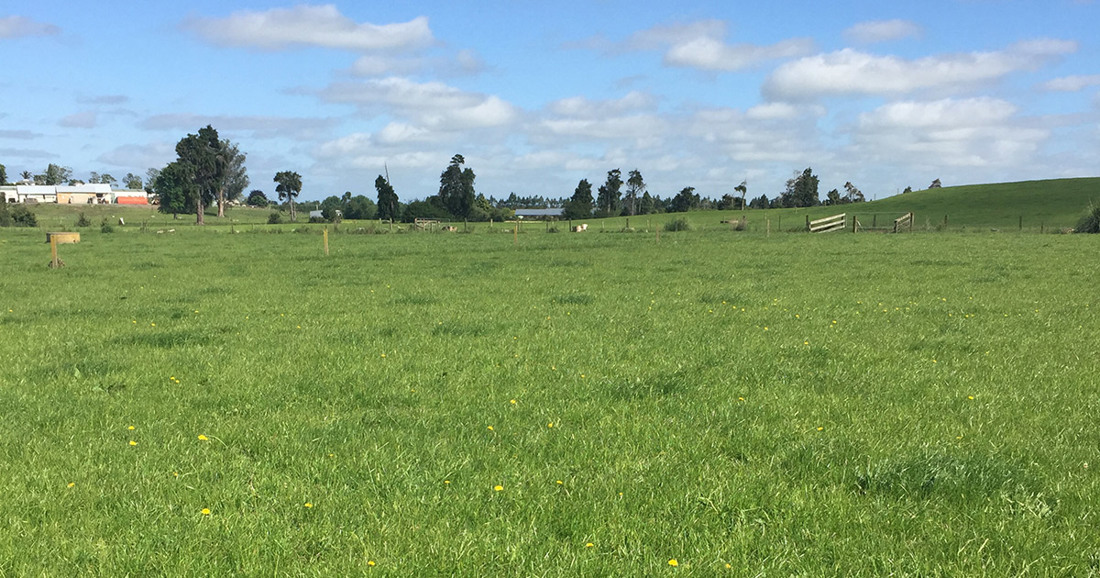 A wide farm field