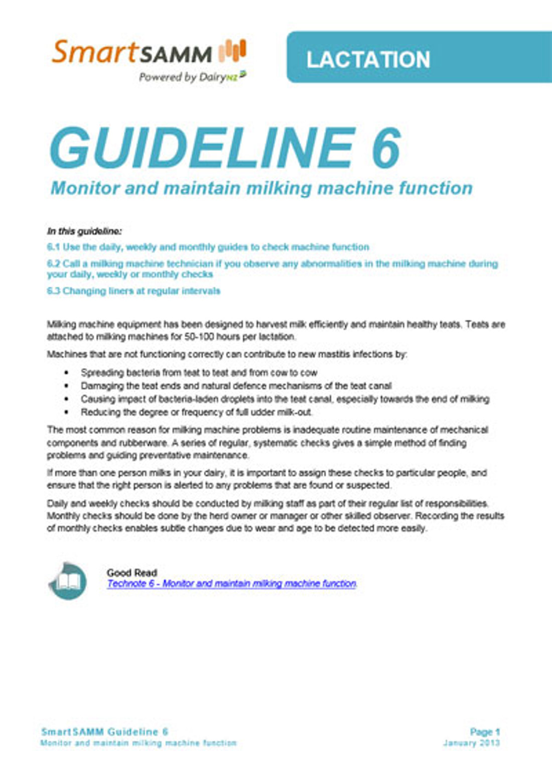 Guideline 6