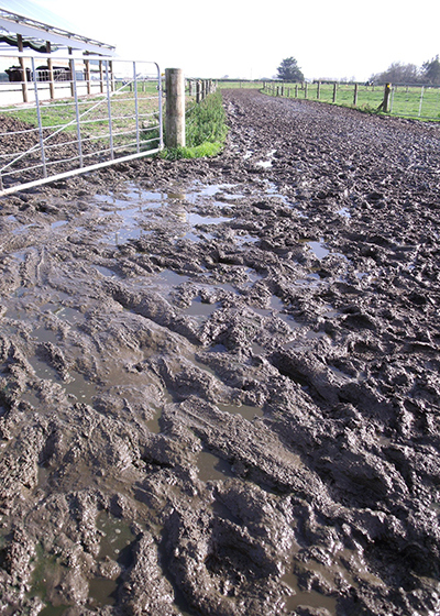 Muddy Race
