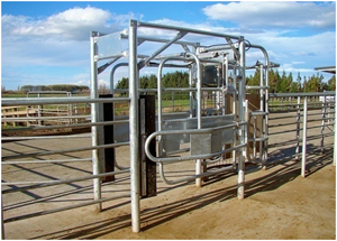 An automated drafting systems in dairy farm