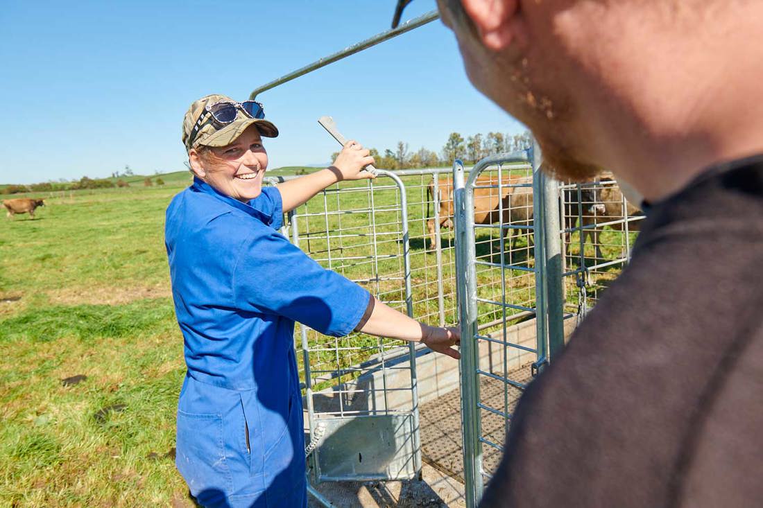 Calf Trailer Gate 5