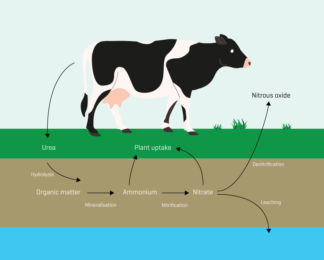 How Nitrous Oxide Is Produced