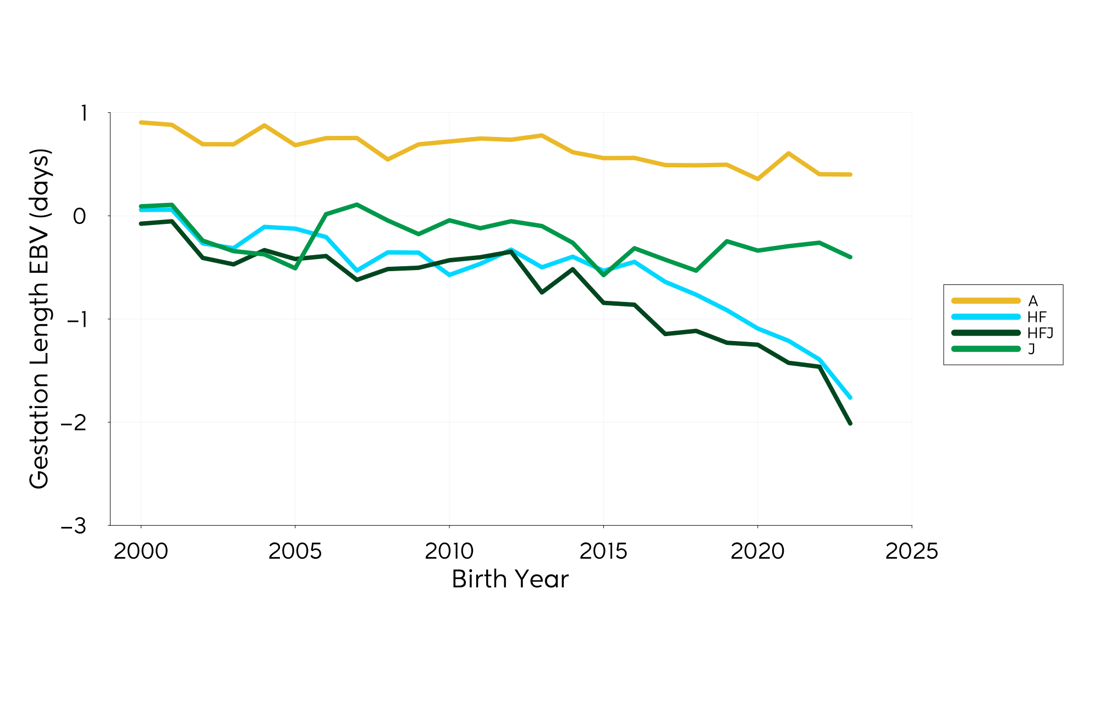 Genetic Trend Graph Gestlength 2024