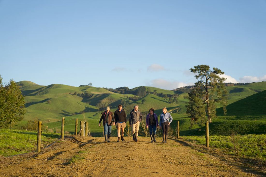 A group of dairy farmers walking down a fenced farm track with rolling hills in the background