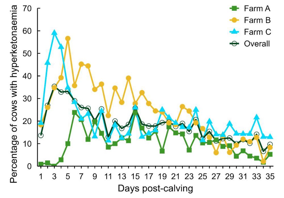 Blood Bhb And Cow Performance Graph Figure 2