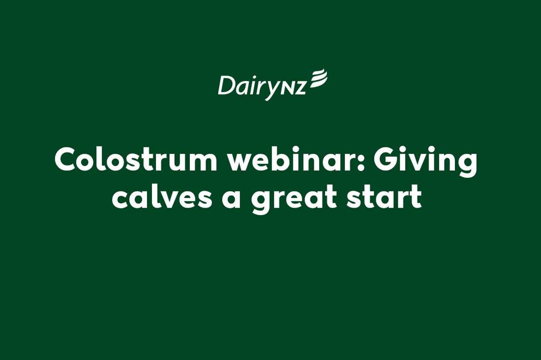 Colostrum Webinar Giving Calves A Great Start Video Placeholder
