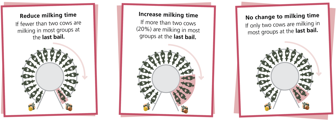 Maxt Poster Image Rotary