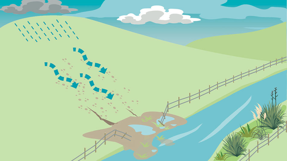Sheet Rill And Gully Erosion