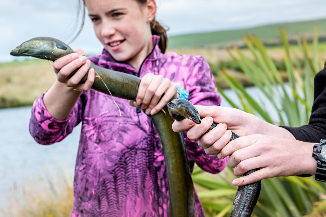 Riparian Planting Gallery Image 2