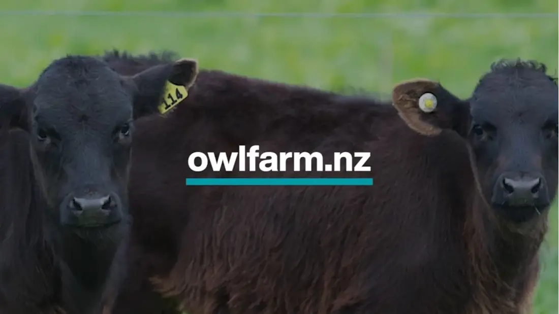 Owlfarm