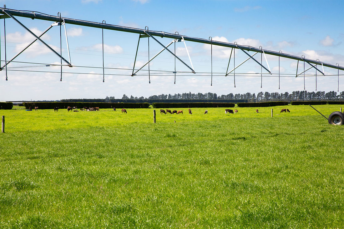 Leo Donkers Terry Kilday Willsden Farm Selwyn Canterbury Travelling Irrigator And Cows 1500X1000