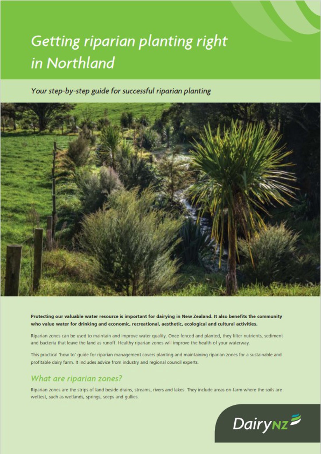 Getting Riparian Planting Right Northland Image