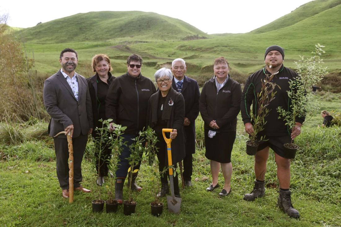 Maori Partnerships Planting