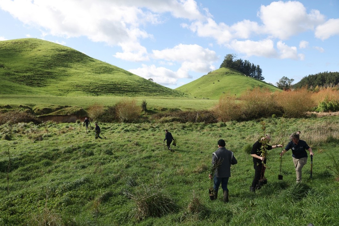 Catchment Group Support