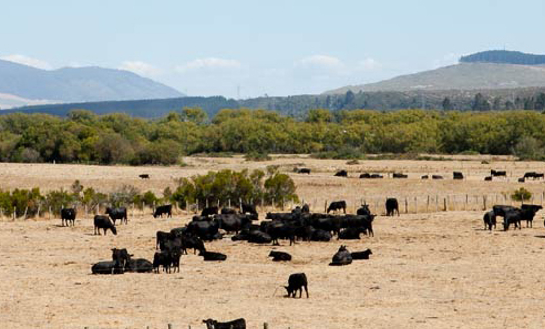 Drought (1)