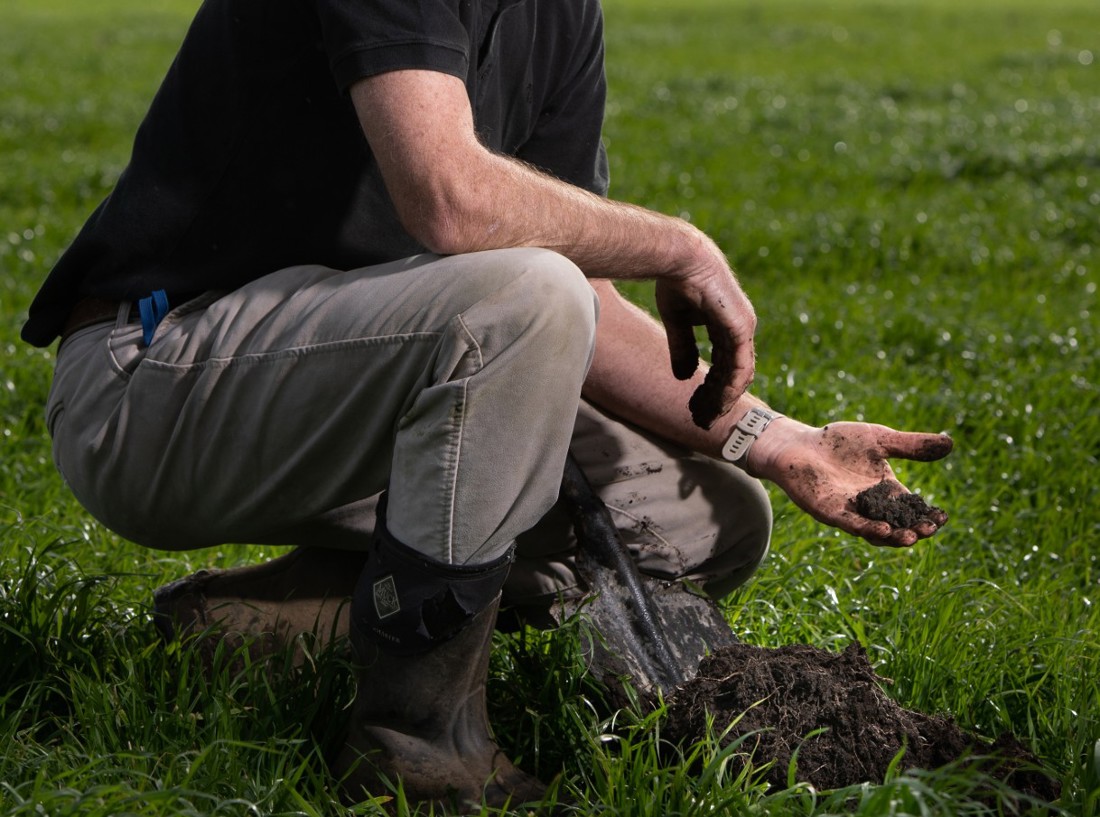 Soil Listing Summary Image