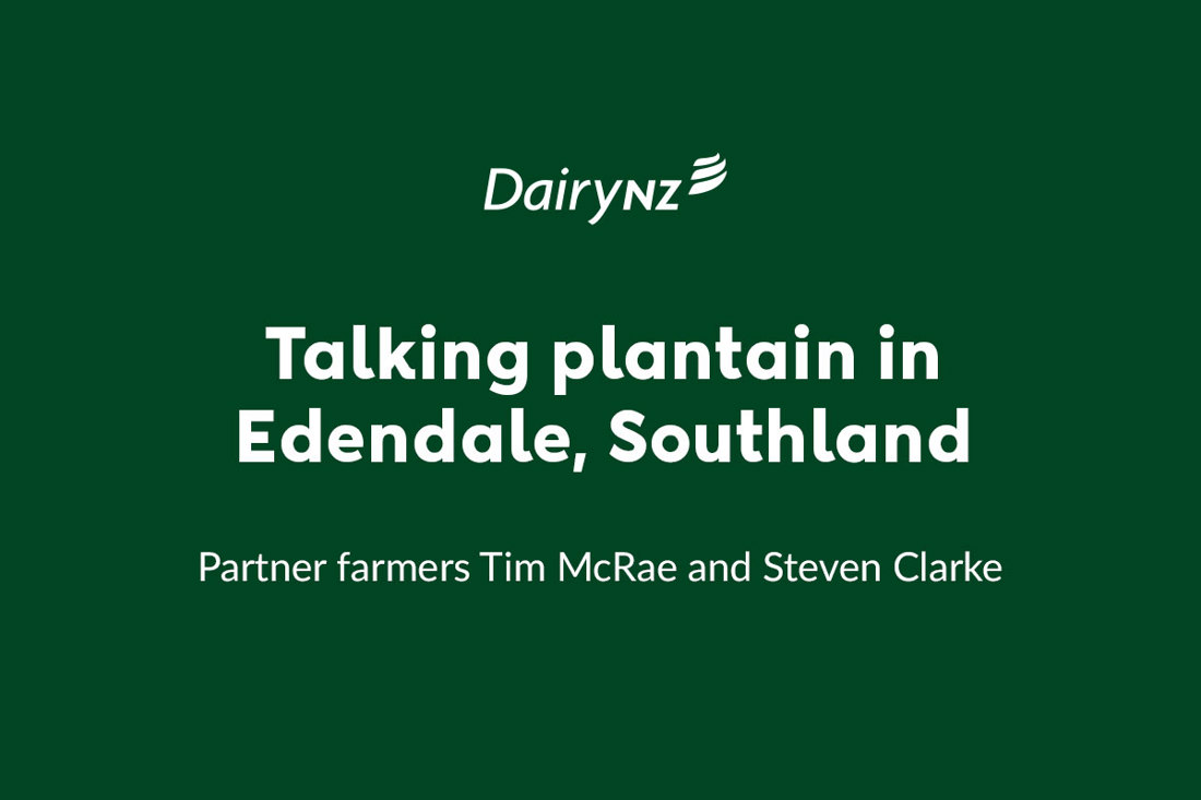 Plantain In Edendale Video Placeholder Image