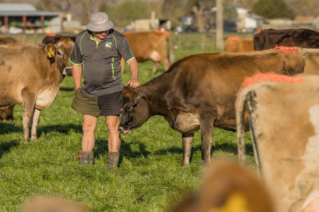Inside Dairy November 2025 January 2026 Cow Care Helps Set New Zealand Dairy Aprt Listing Summary Image