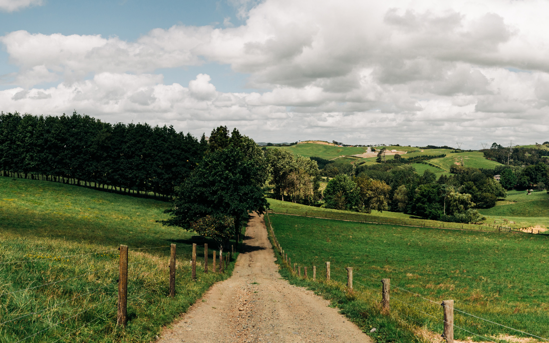 CROP Nic Staveley Hula Go Dairy 7 2 2023 MG 2307 Pano