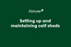 Setting Up And Maintaining Calf Sheds Video Placeholder