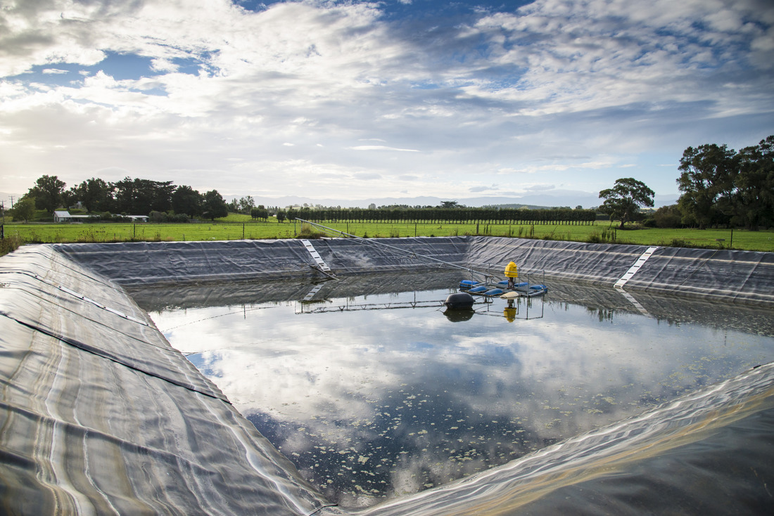 A pond with a blue sky and clouds in the background