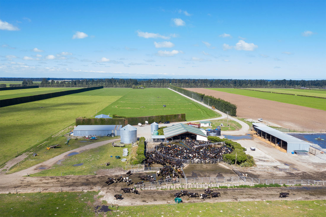 Leo Donkers Terry Kilday Willsden Farm Selwyn Canterbury Aerial Shot Dairy 1500X1000