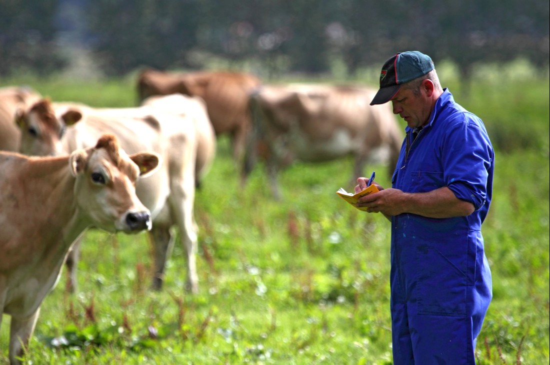 Rural Professionals Hub Veterinarians Listing Image