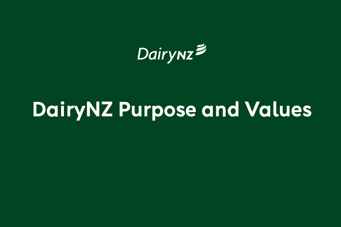 Dairynz Purpose And Values