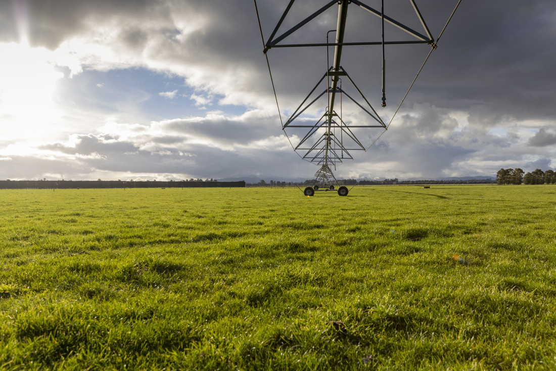 Open field with water sprinklers