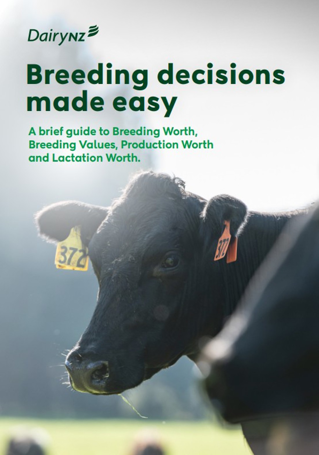 Breeding Decisions Made Easy October 2025 Cover Image