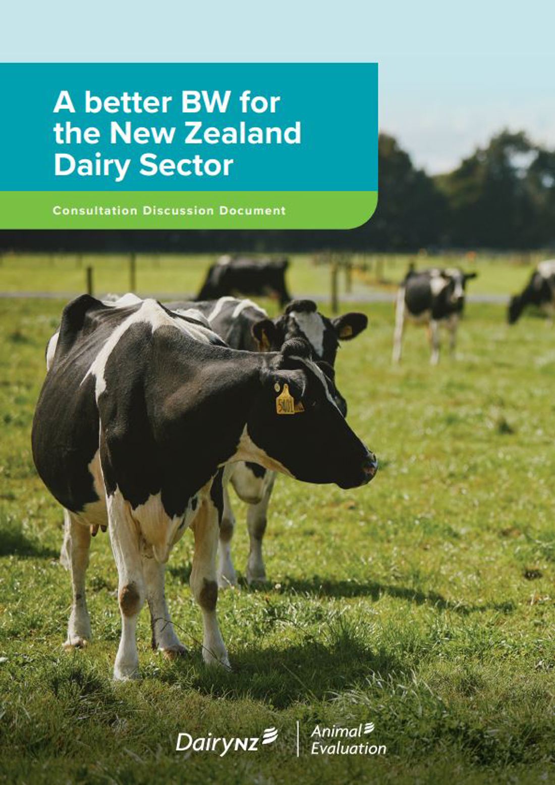 A Better Bw For The NZ Dairy Sector Image