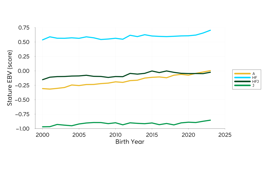 Genetic Trend Graph Stature 2024