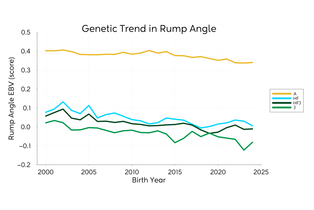 Genetic Trend Graph Rumpangle 2025