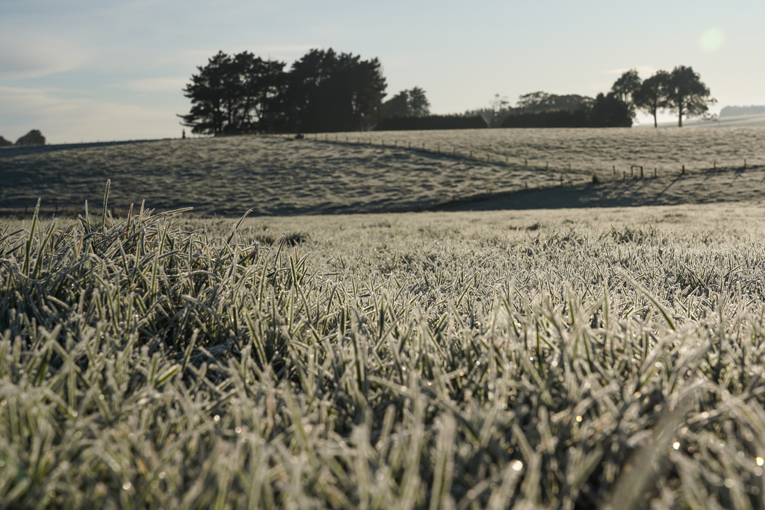 Dan Woolsey ID Aug Sept 20 DC00017610 (8)