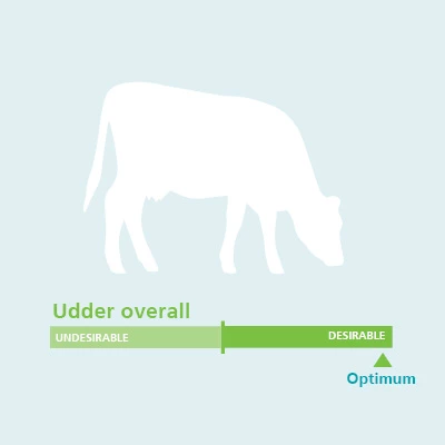 Overall Udder Conformation Traits