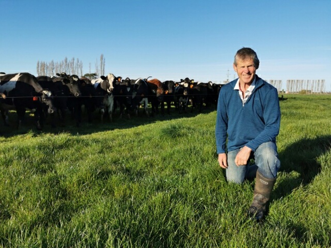A man in a field smiling with cows in the background
