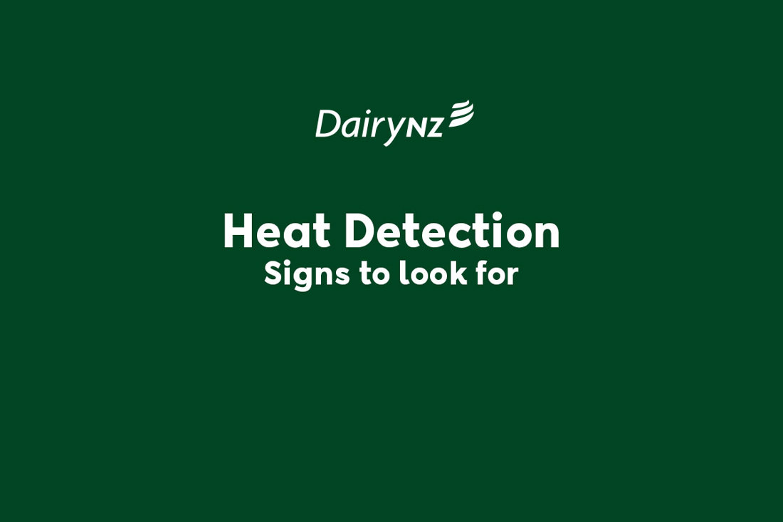Heat Detection Signs To Look For Video Placeholder Image