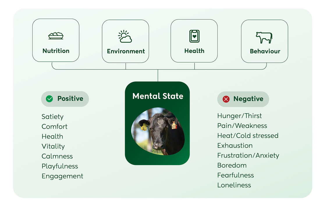 Animal Welfare Positive V Negative Mental State Graphic V2