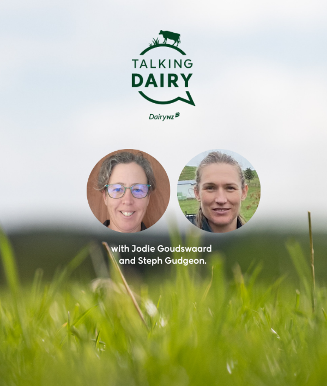 Ep 111 What's New Carousel