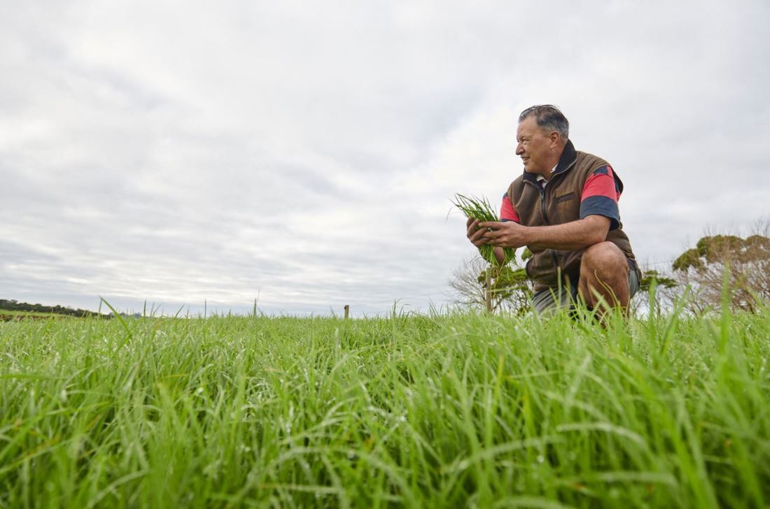 Resilient Pastures Image 7