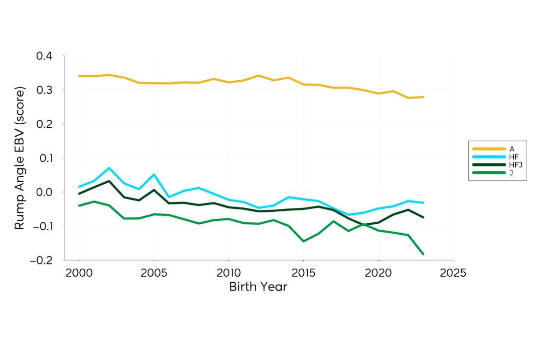 Genetic Trend Graph Rumpangle 2024