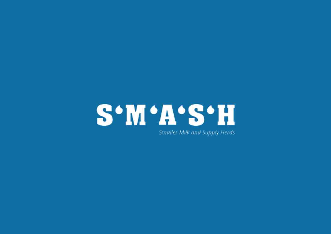SMASH Logo V2