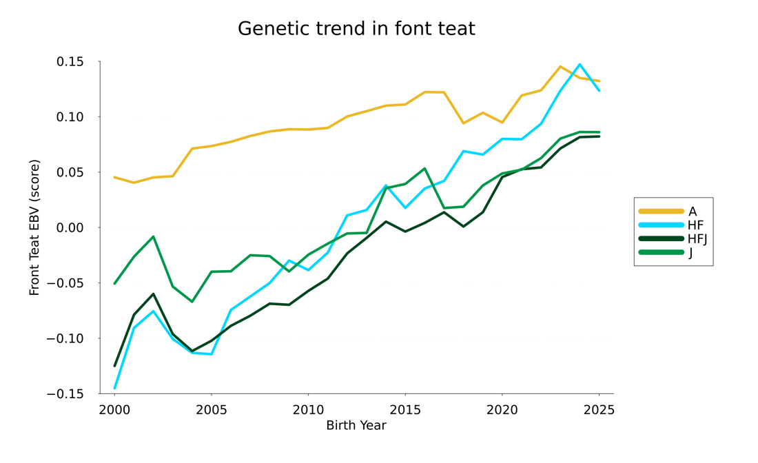 Frontteat 25Trend