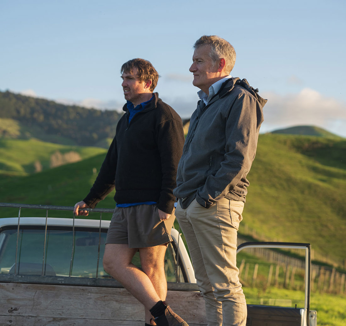 Work At Dairynz 2