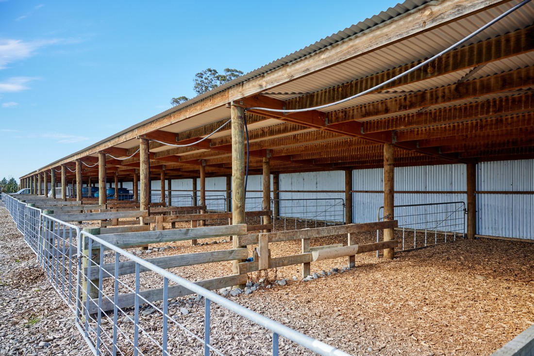 A wide stable for cows
