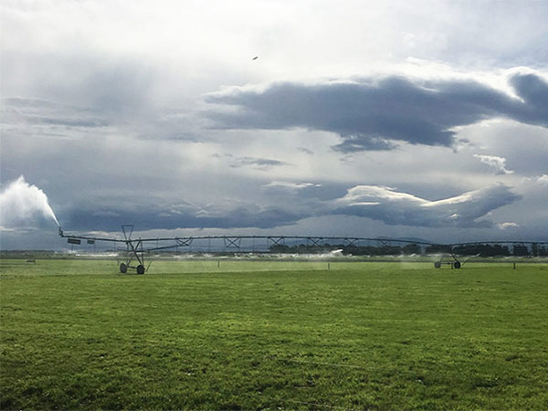 A wide field with a big irrigation system