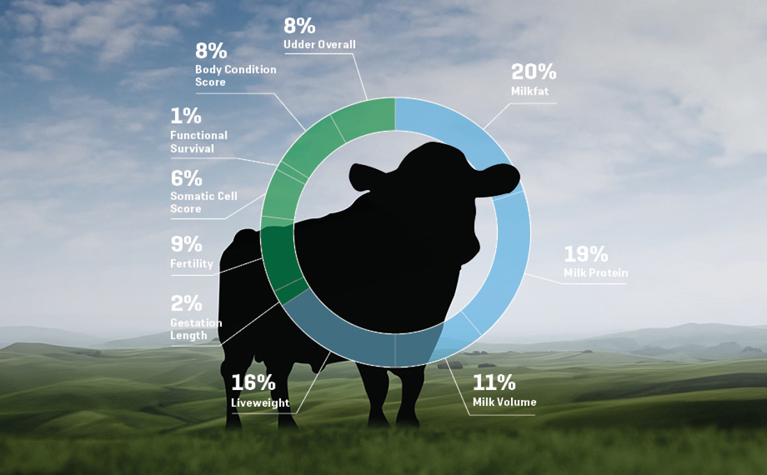 NZAEL Campaign Ranking Active Sires List 920X570px Nov 2024
