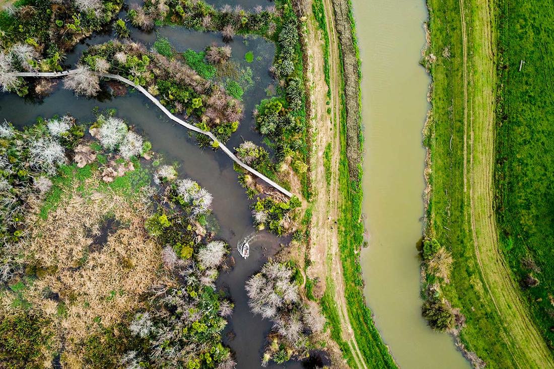 Drone overhead image of New Zealand waterway showing riparian planting and biodiversity